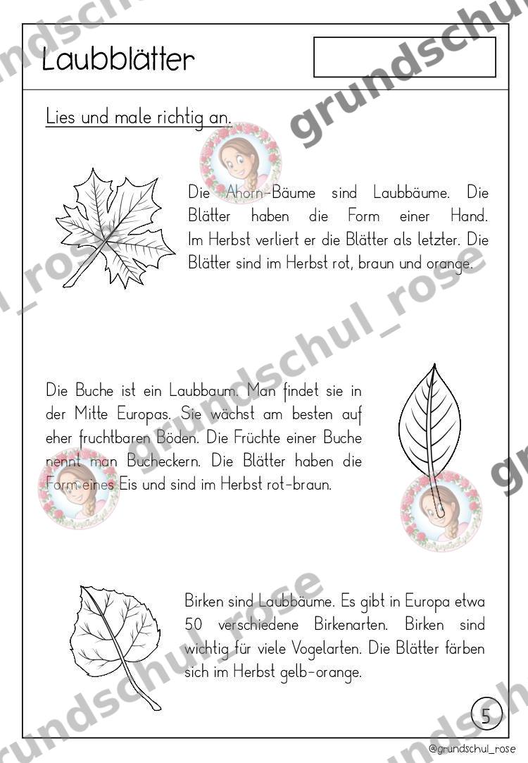 Materialvorschau, Seite 8