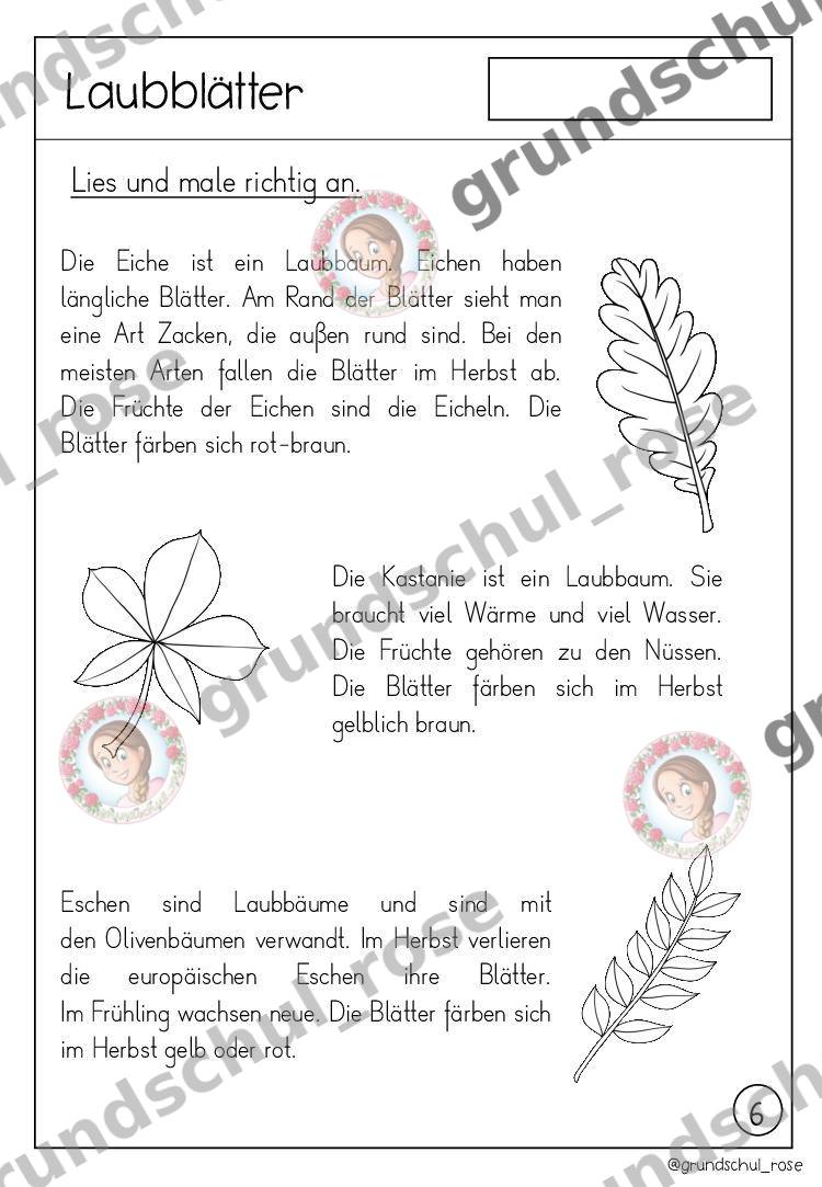 Materialvorschau, Seite 9