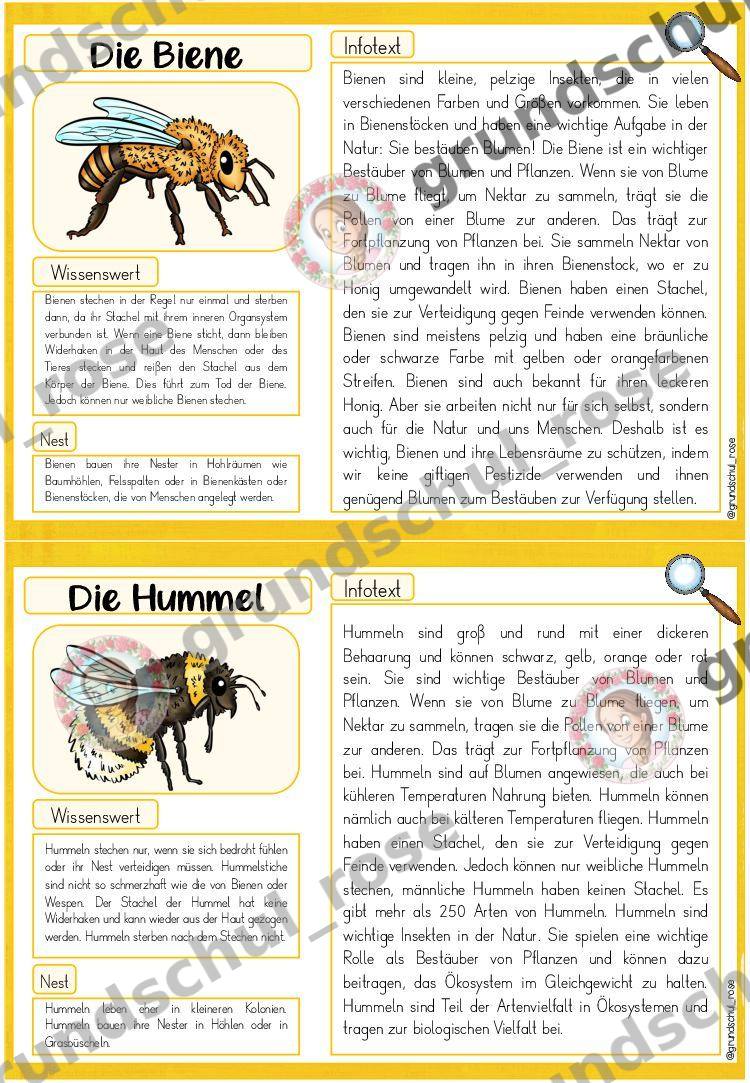 Materialvorschau, Seite 5