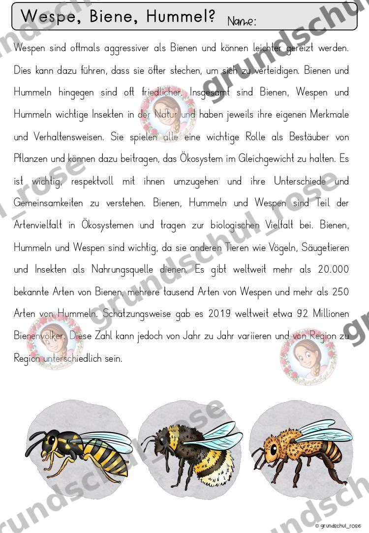 Materialvorschau, Seite 11