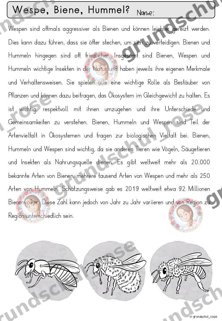 Materialvorschau, Seite 17