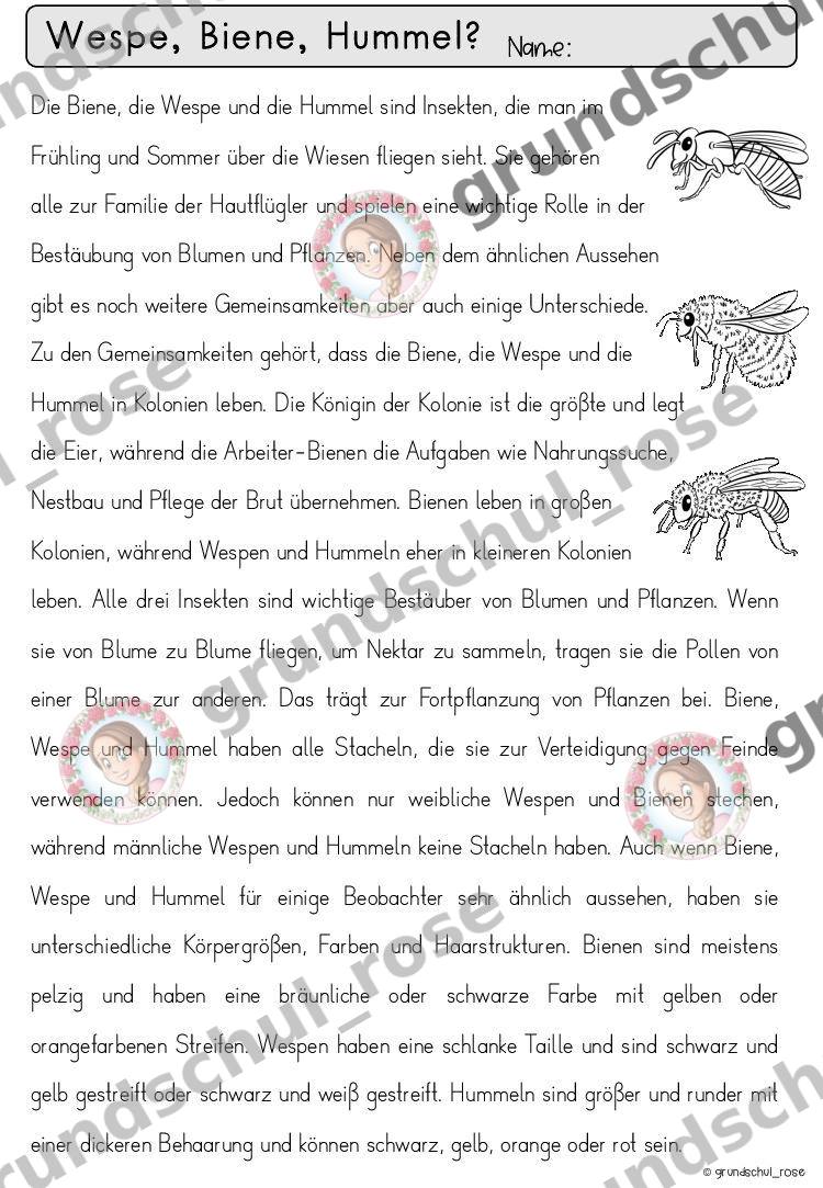 Materialvorschau, Seite 21