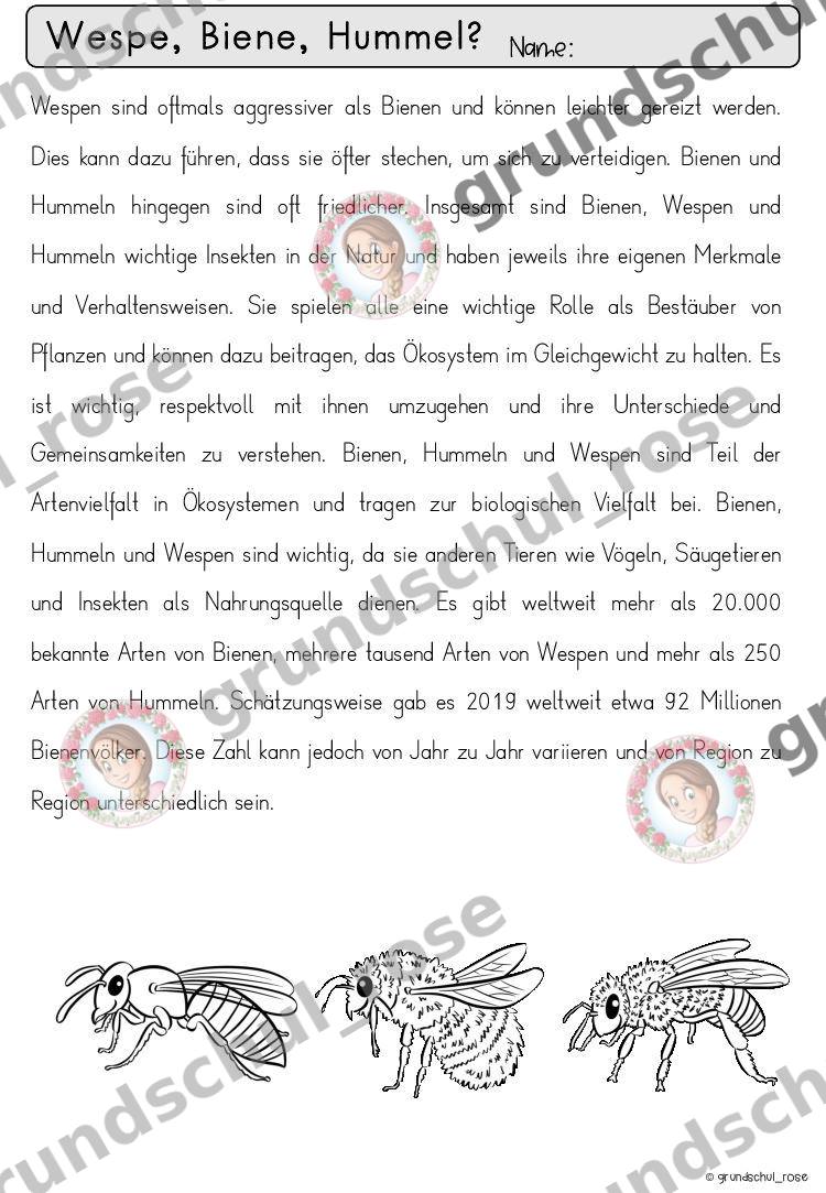 Materialvorschau, Seite 23