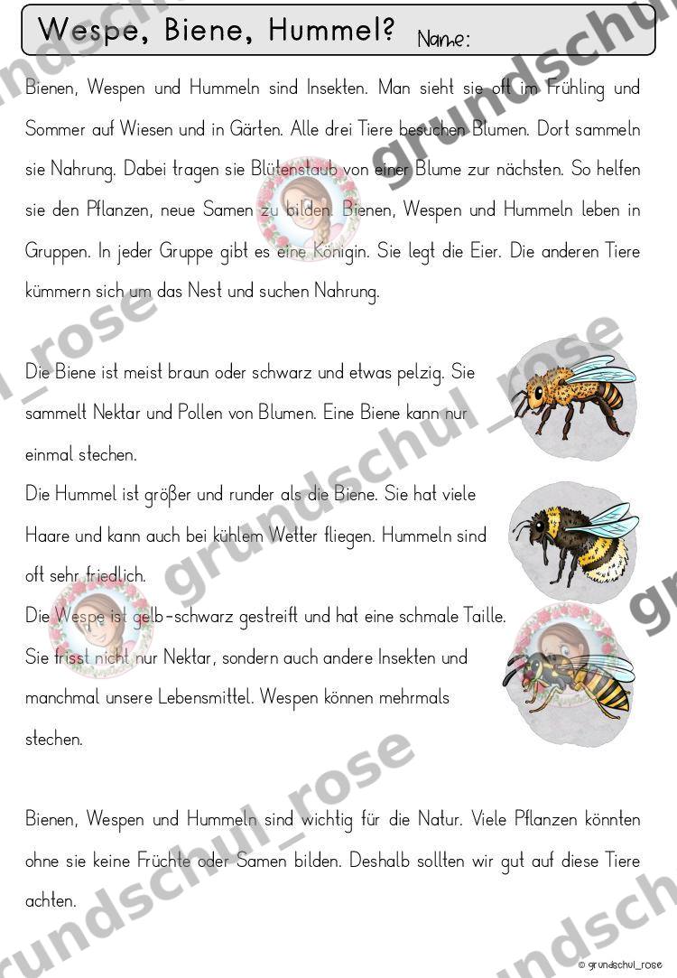 Materialvorschau, Seite 5
