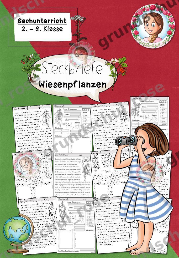 Materialvorschau, Seite 1