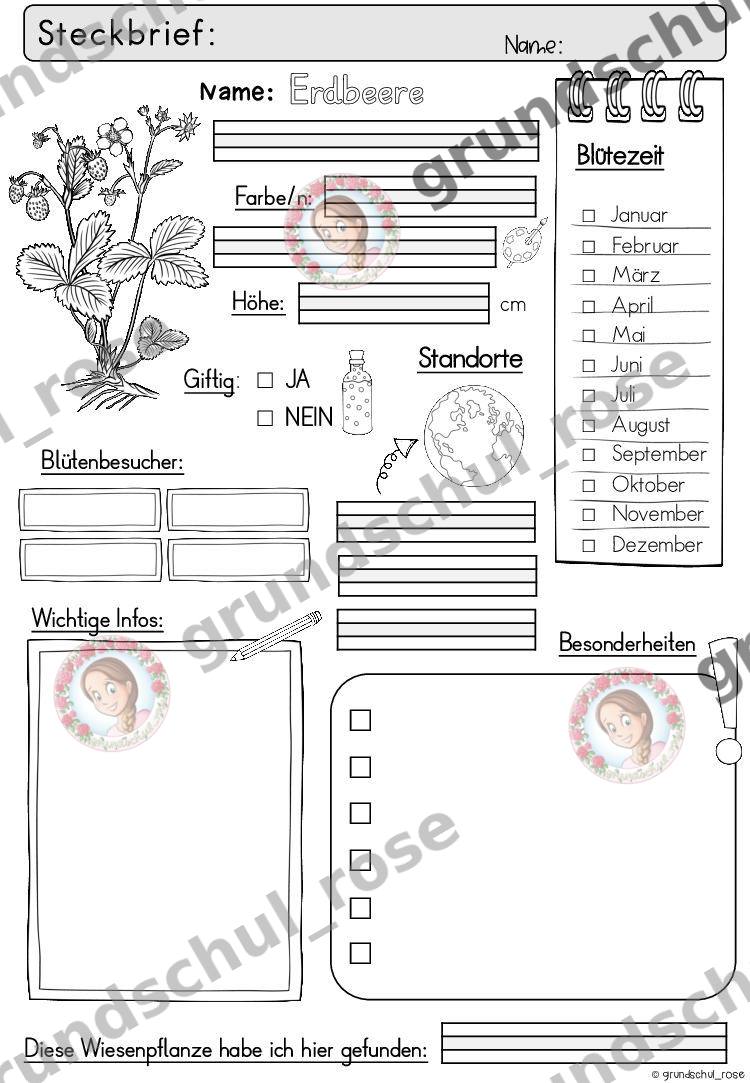 Materialvorschau, Seite 11