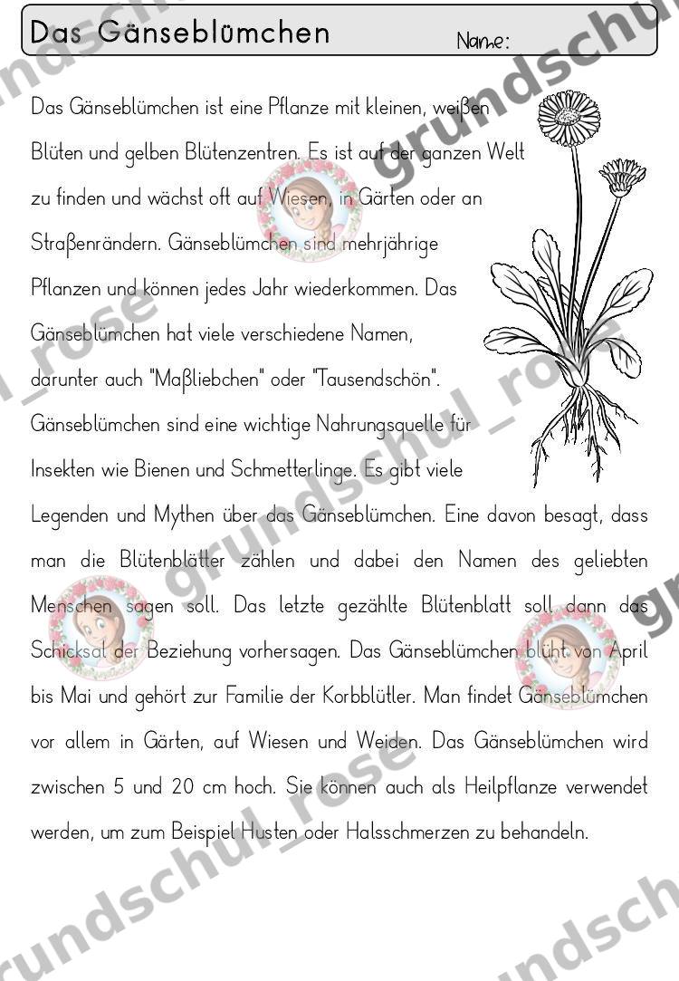 Materialvorschau, Seite 12