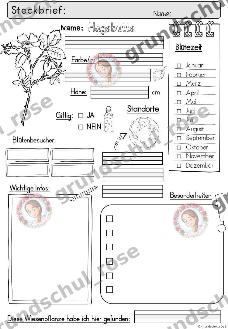 Materialvorschau, Seite 17