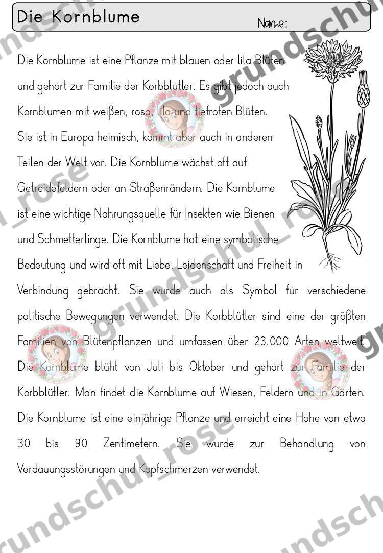 Materialvorschau, Seite 22