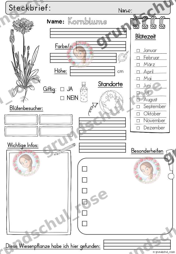 Materialvorschau, Seite 23