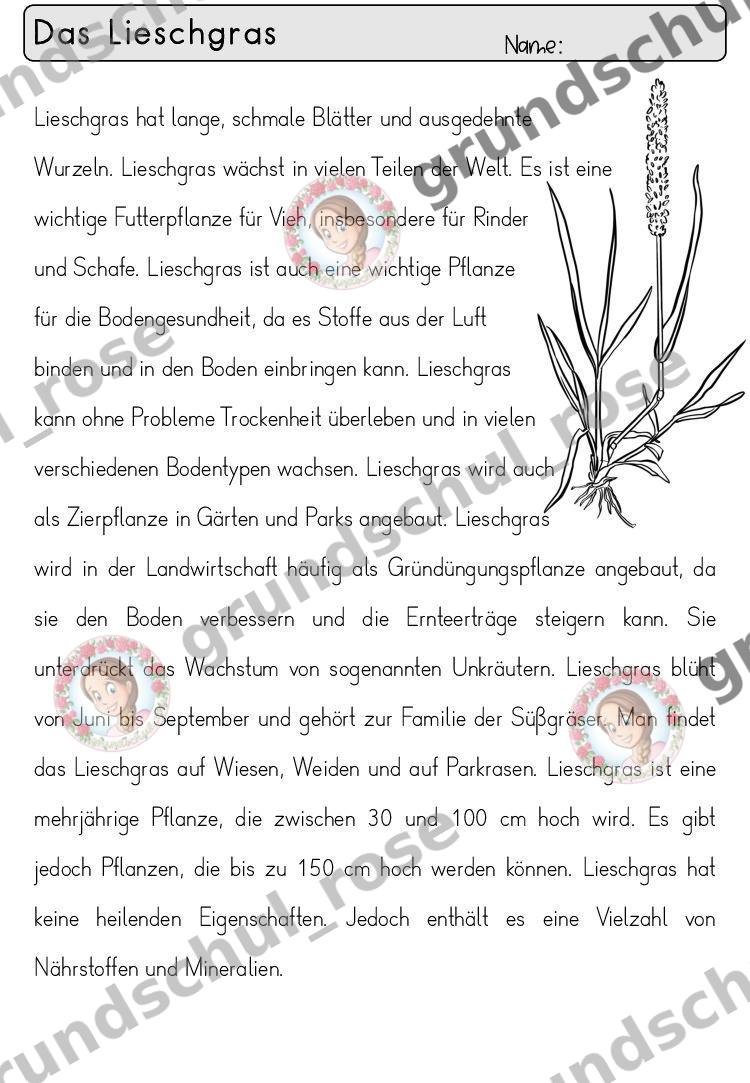 Materialvorschau, Seite 24