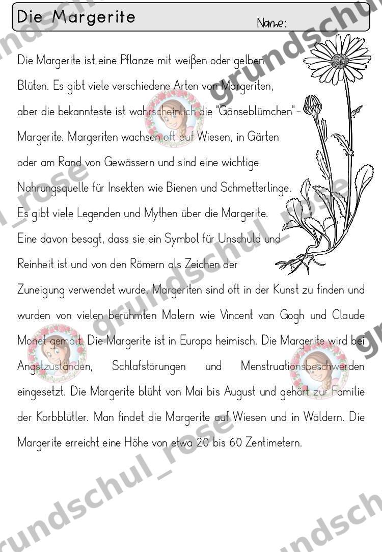Materialvorschau, Seite 26