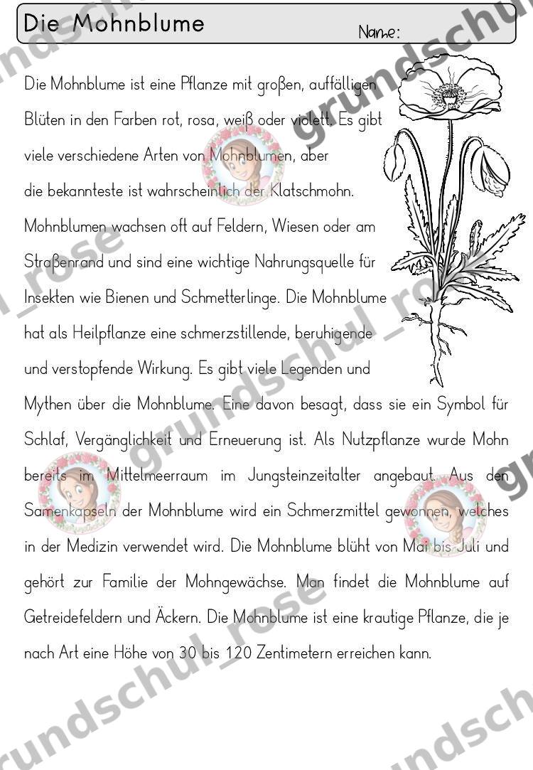 Materialvorschau, Seite 28
