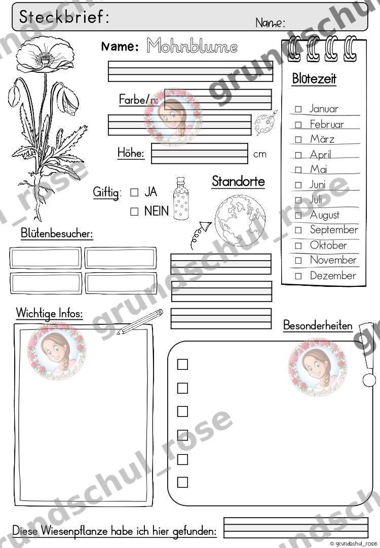 Materialvorschau, Seite 29