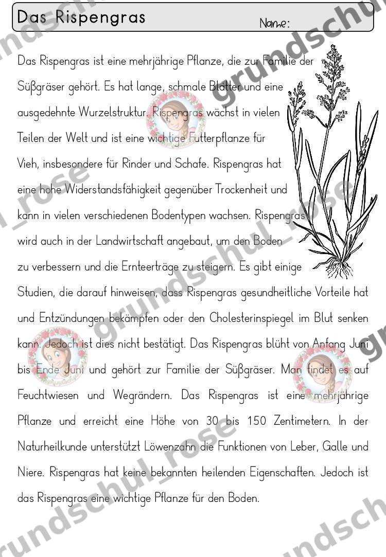 Materialvorschau, Seite 30