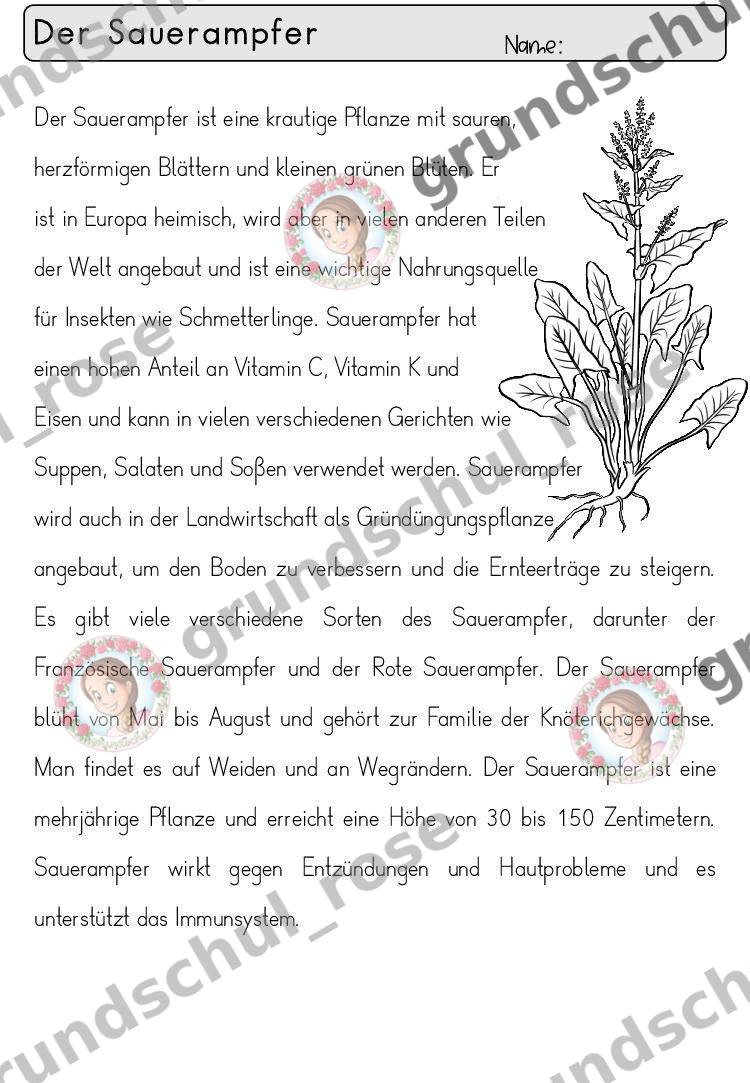 Materialvorschau, Seite 32
