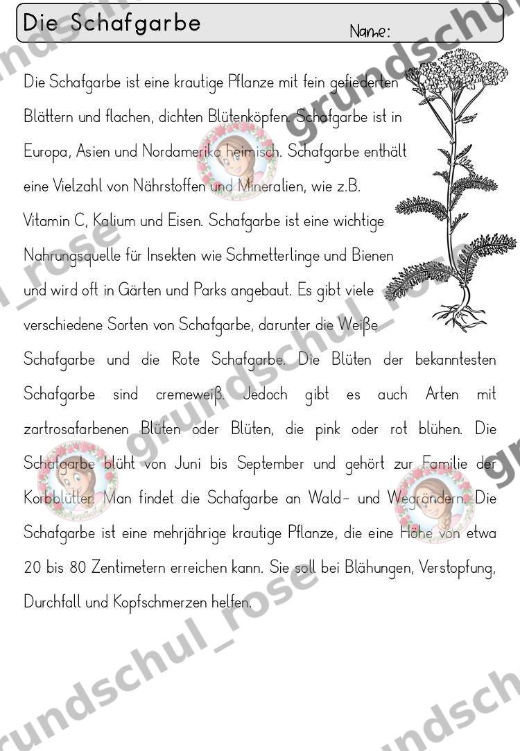 Materialvorschau, Seite 34