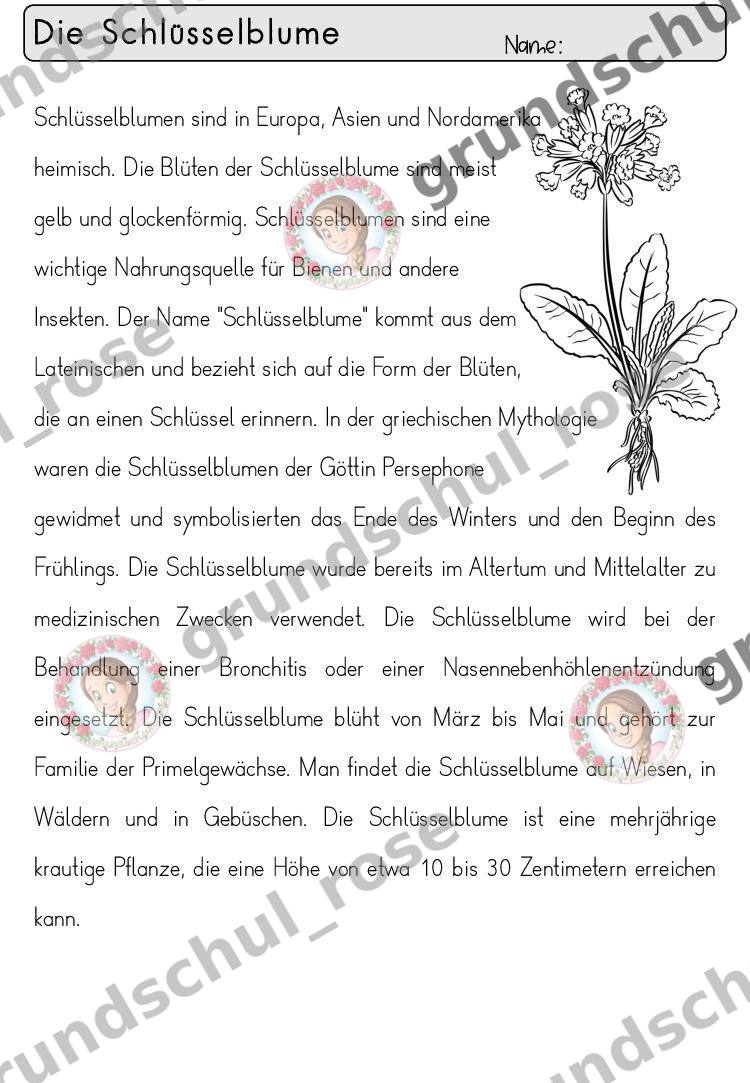 Materialvorschau, Seite 36