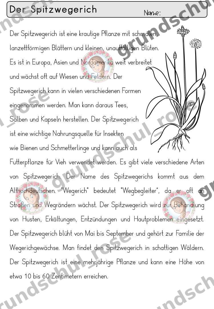 Materialvorschau, Seite 38