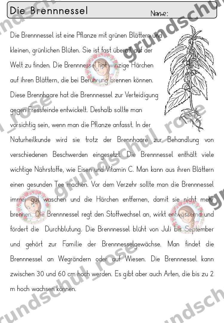 Materialvorschau, Seite 4