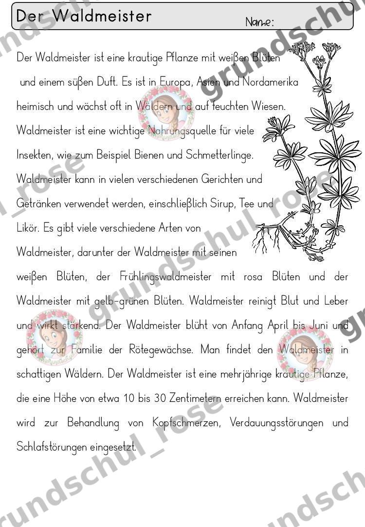 Materialvorschau, Seite 40