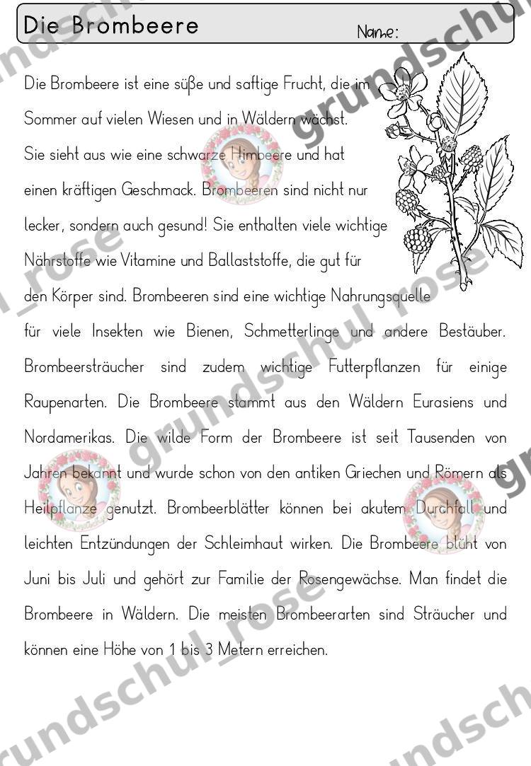 Materialvorschau, Seite 6
