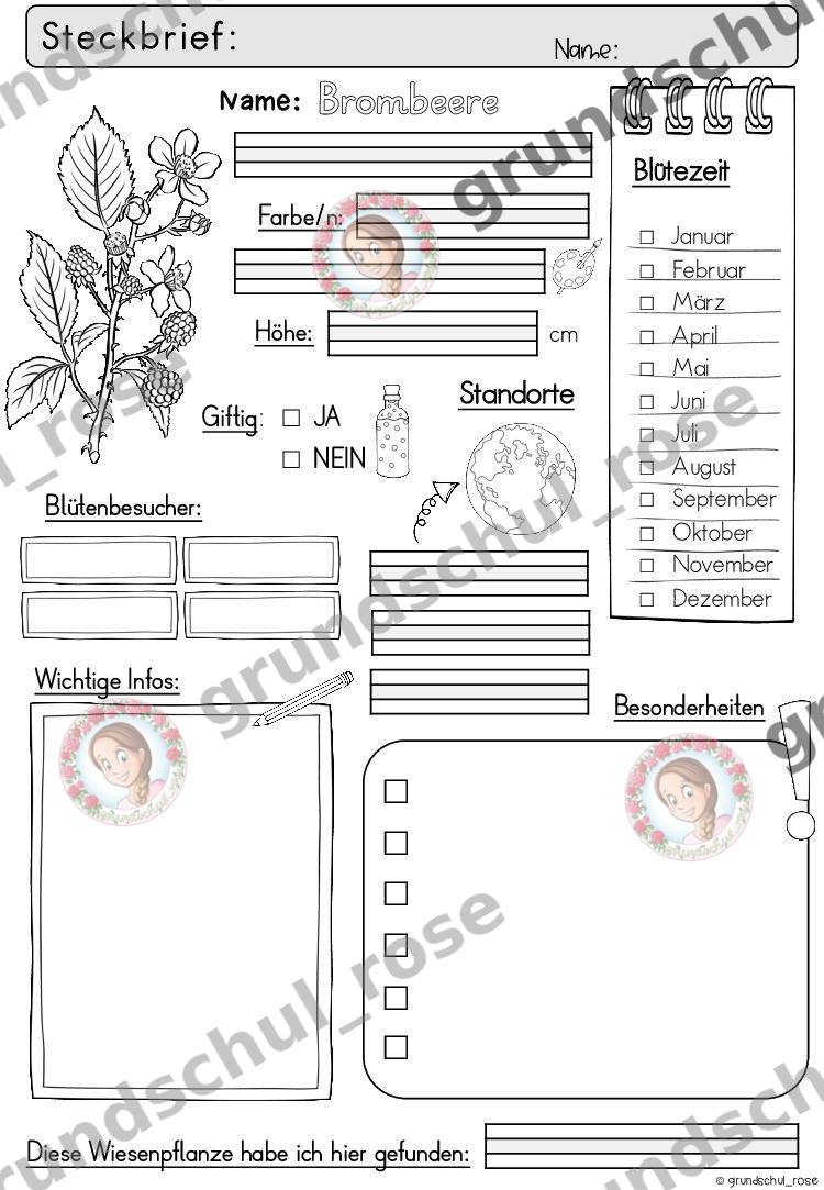 Materialvorschau, Seite 7