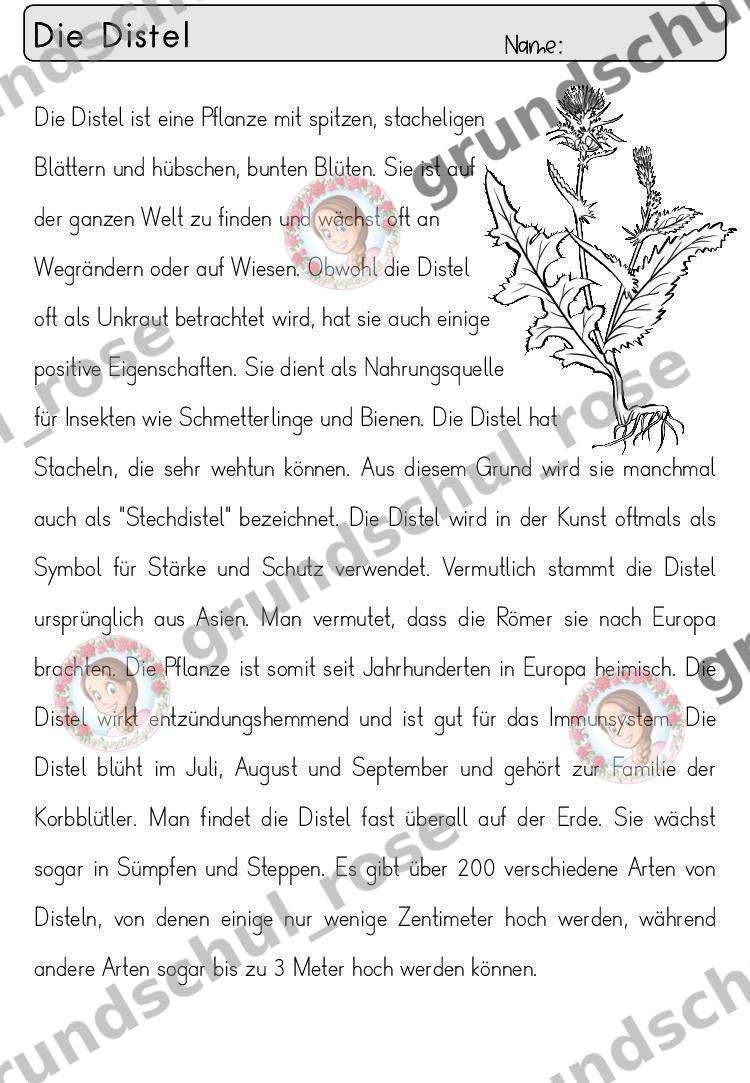 Materialvorschau, Seite 8