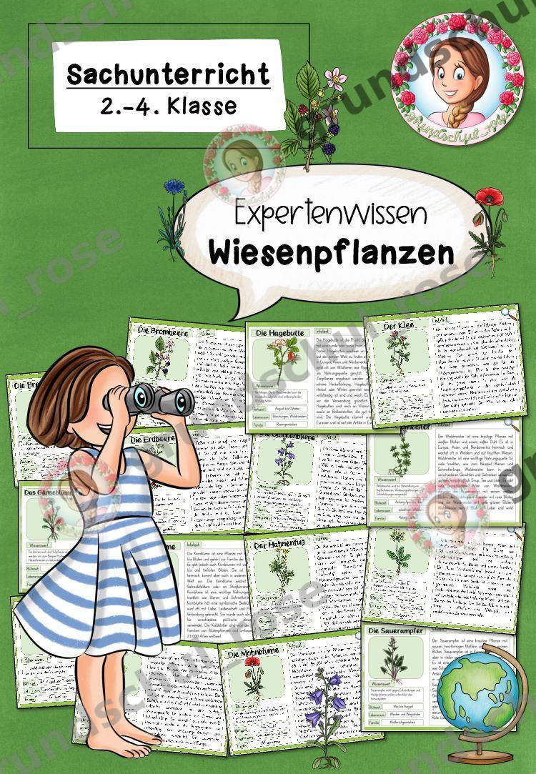 Materialvorschau, Seite 1