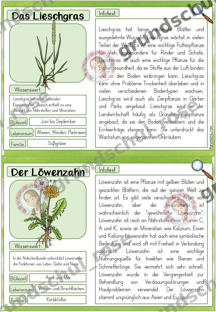 Materialvorschau, Seite 10