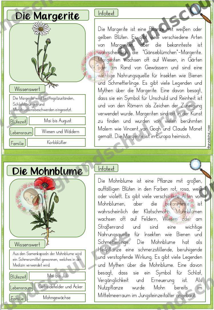 Materialvorschau, Seite 11