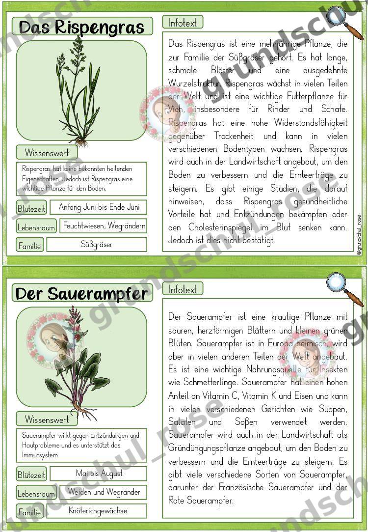 Materialvorschau, Seite 12