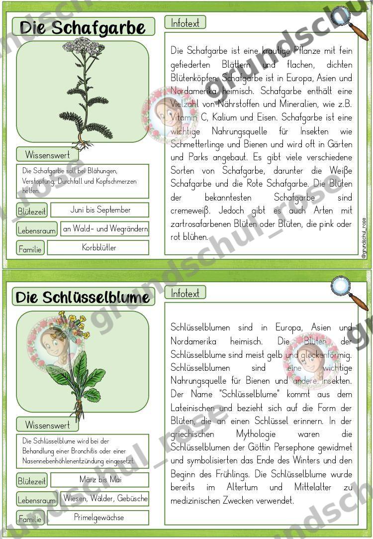Materialvorschau, Seite 13