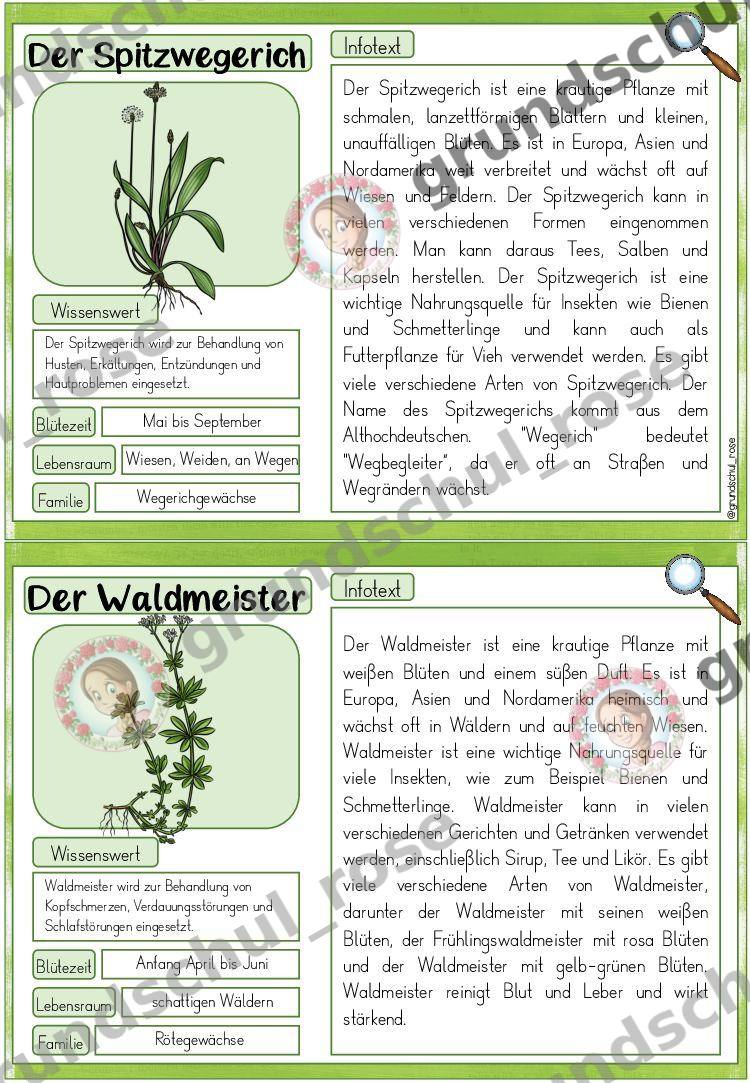 Materialvorschau, Seite 14