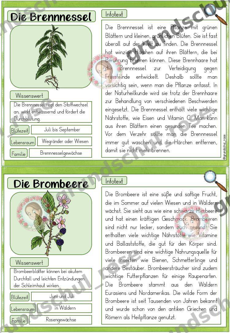 Materialvorschau, Seite 5