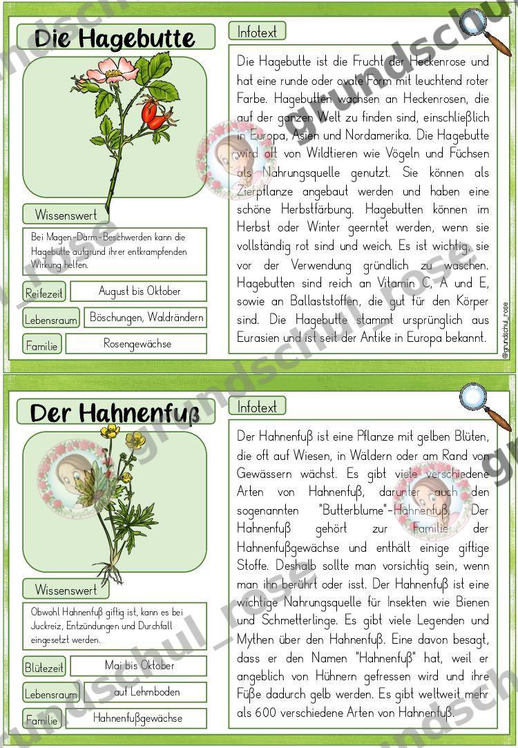 Materialvorschau, Seite 8