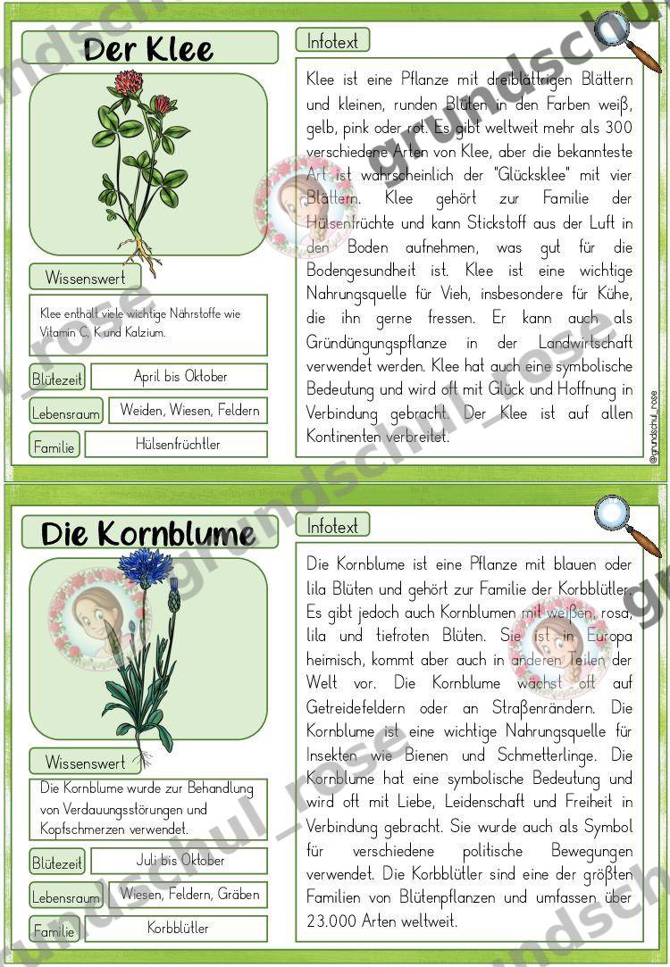 Materialvorschau, Seite 9