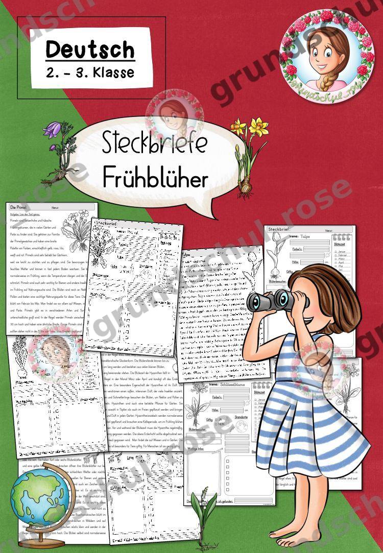 Materialvorschau, Seite 1