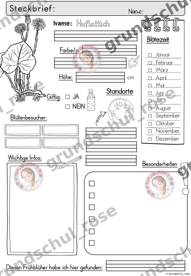 Materialvorschau, Seite 11