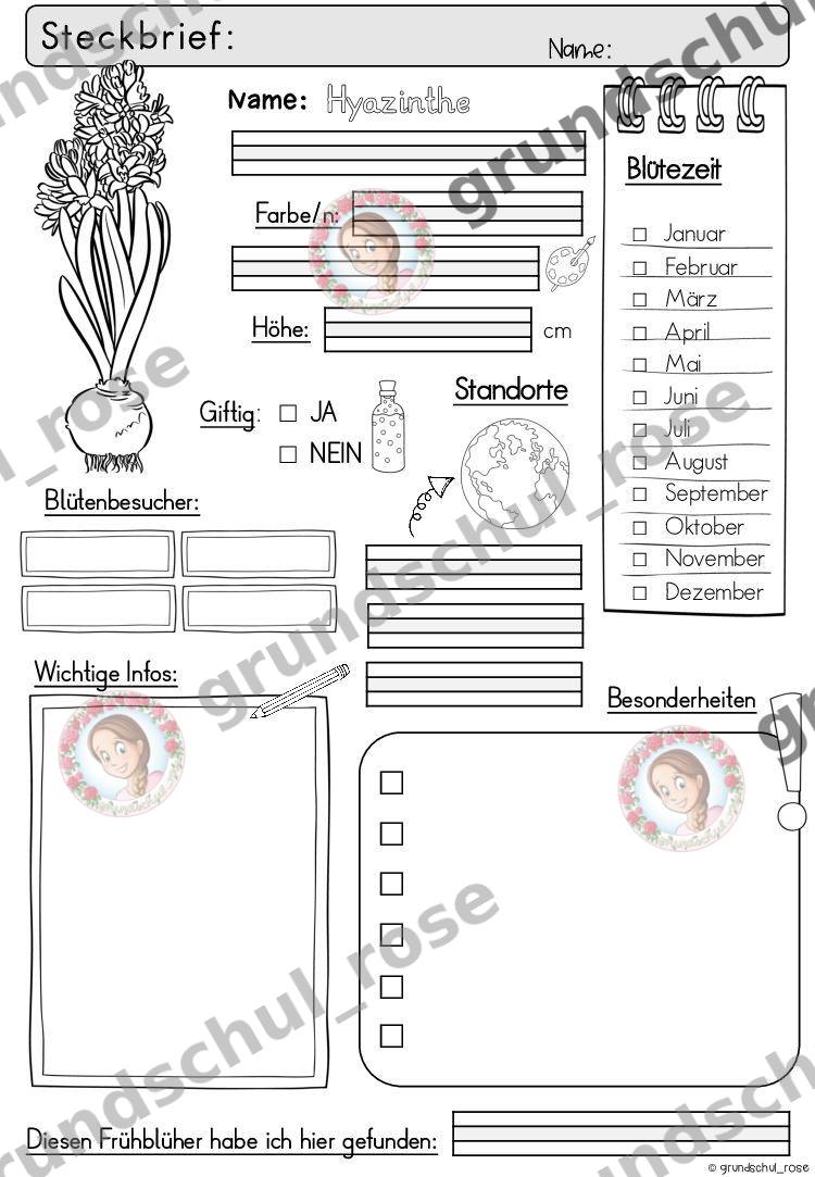 Materialvorschau, Seite 13