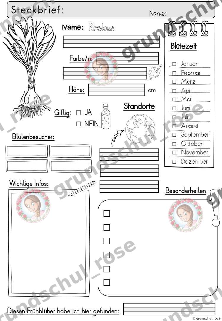 Materialvorschau, Seite 15