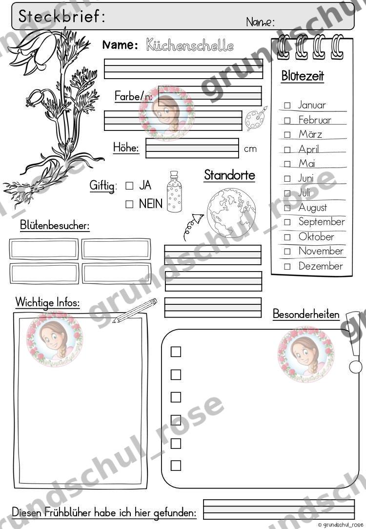 Materialvorschau, Seite 17