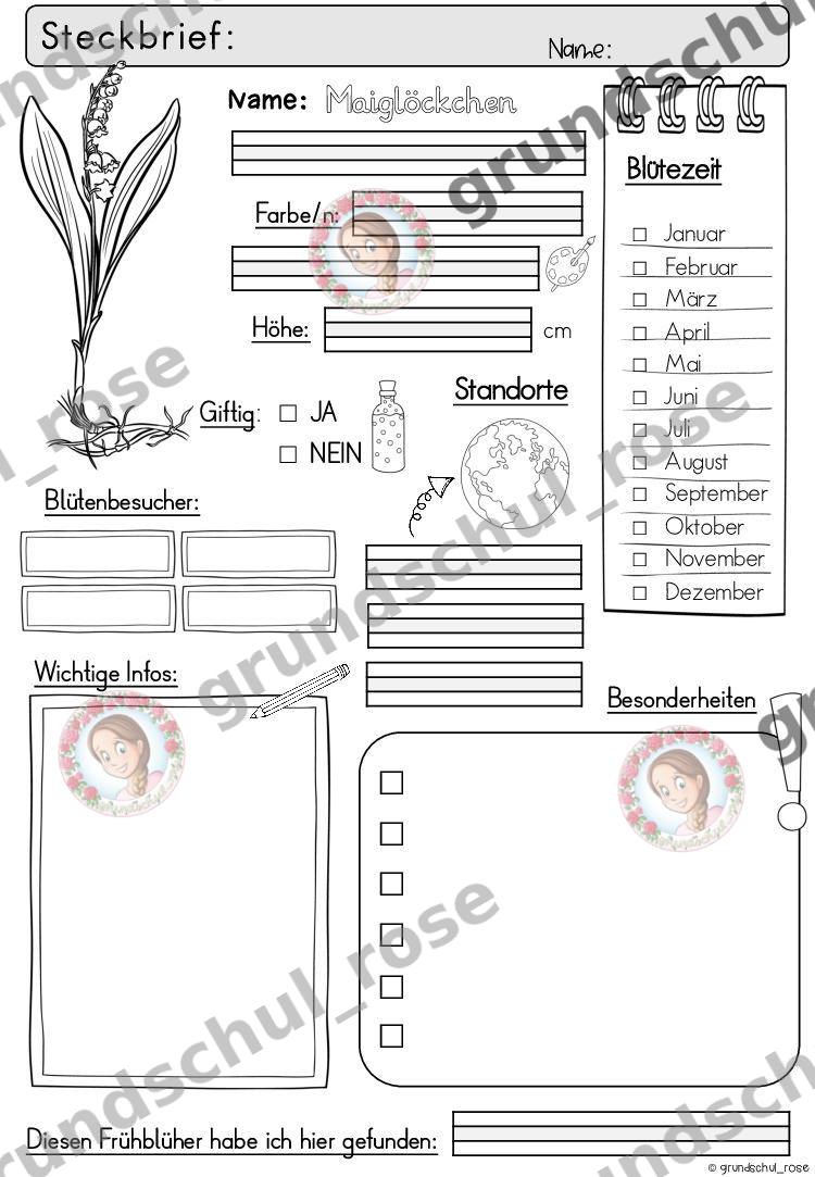Materialvorschau, Seite 19