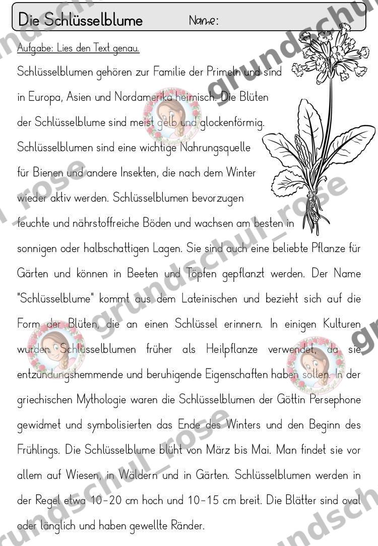 Materialvorschau, Seite 22