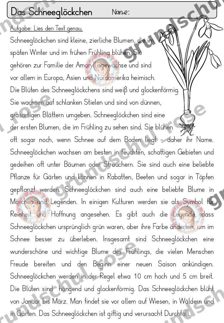 Materialvorschau, Seite 24
