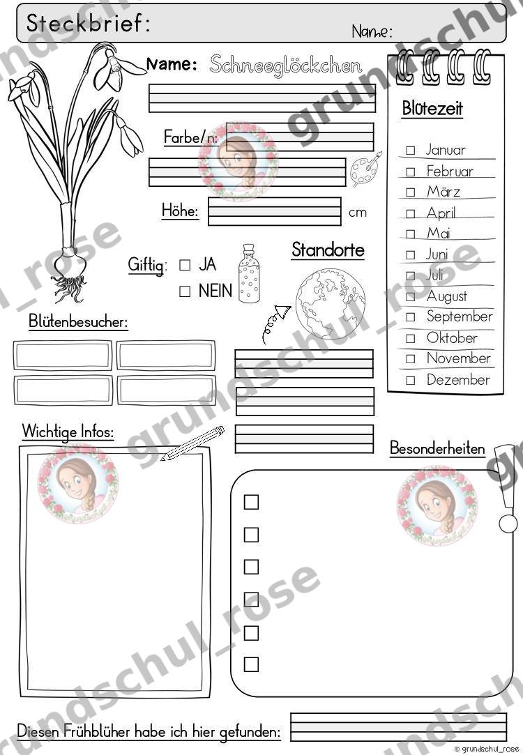 Materialvorschau, Seite 25