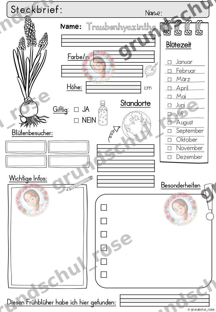 Materialvorschau, Seite 29