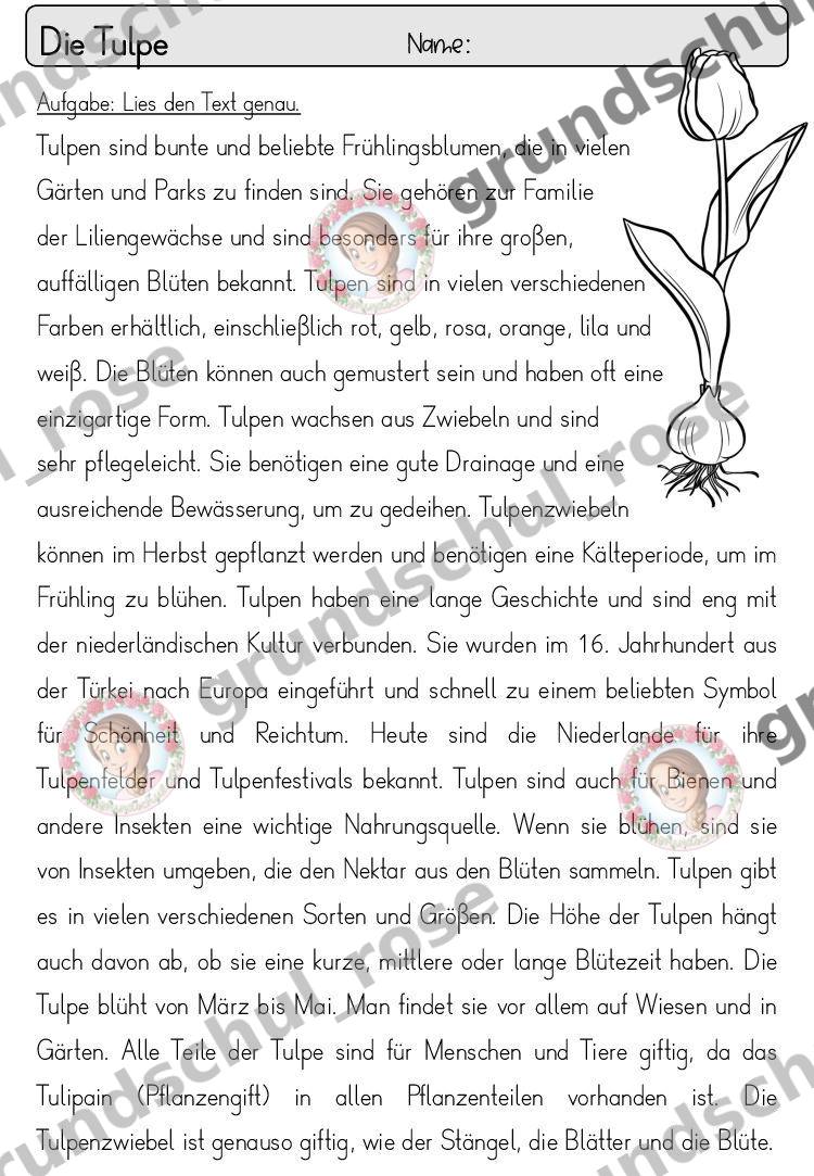 Materialvorschau, Seite 30
