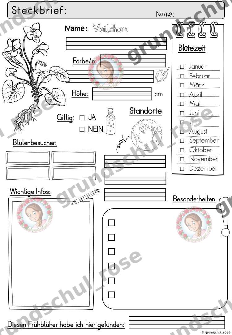 Materialvorschau, Seite 33