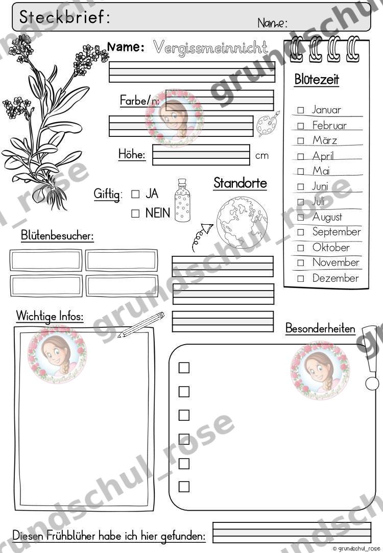 Materialvorschau, Seite 35
